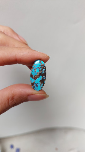 فیروزه نیشابوری اصل